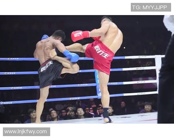 王文忠散打挑战欧洲高手展现中国武术风采与实力对决